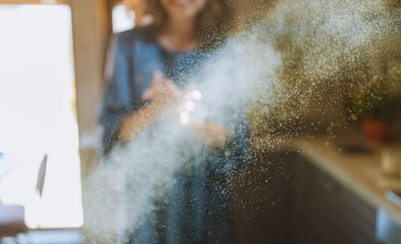 Piccoli puntini bianchi che si muovono in casa? Ecco cosa sono davvero e se devi preoccuparti