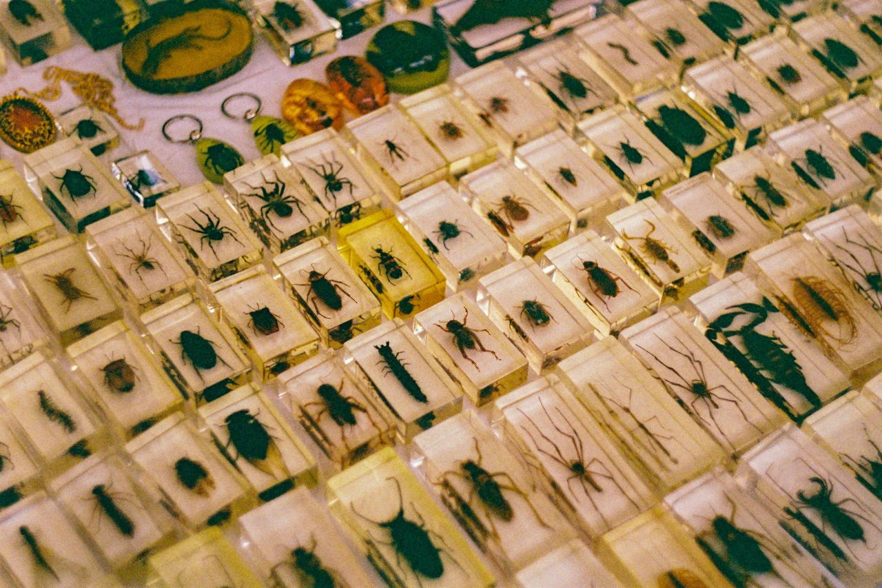 Il metodo semplice ed economico per chiudere il varco sotto la porta agli scarafaggi